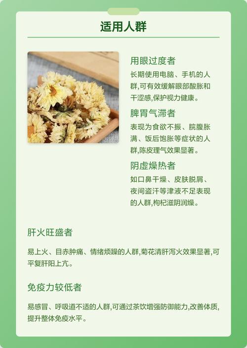 菊花茶可以放陈皮一起泡吗?一杯好茶背后的菊花养护学 越冬与越夏管理:分气候带操作清单