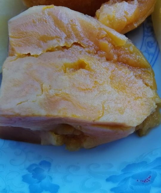 毒红薯是什么品种？形态特征、毒性识别与普通红薯对比全解析
