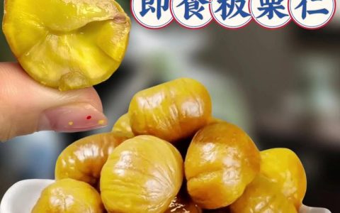 板栗哪个品种好吃？2026年4大热门品种对比与果苗采购指南