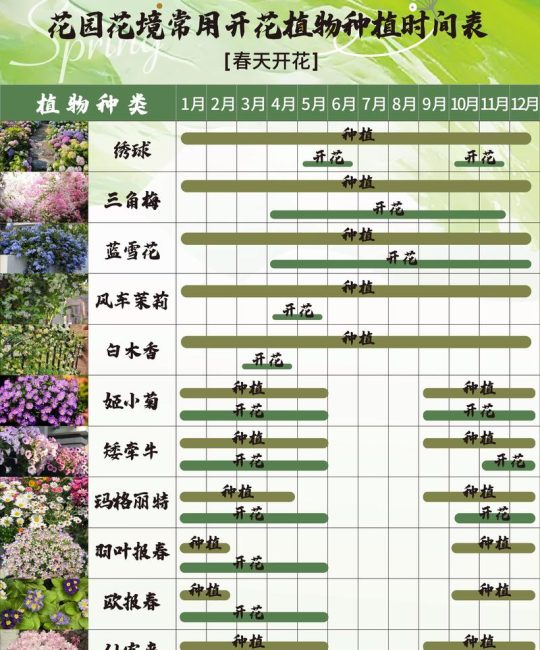 夏天适合种什么花？5种耐热花卉种植指南（含南北差异操作要点）
