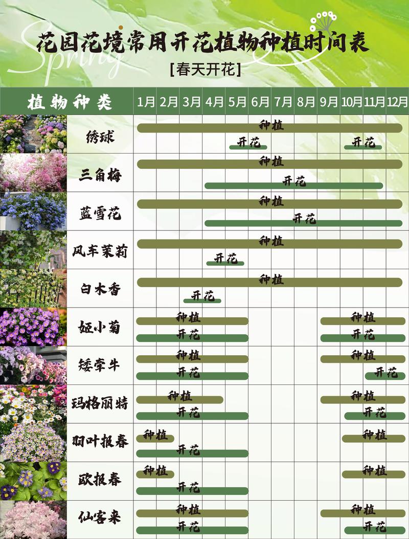夏天适合种什么花?5种耐热花卉种植指南(含南北差异操作要点) 一、太阳花(大花马齿苋)