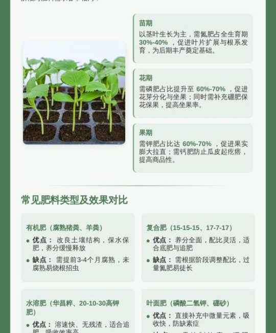 丝瓜肥最忌三种肥料及家庭全周期养护指南