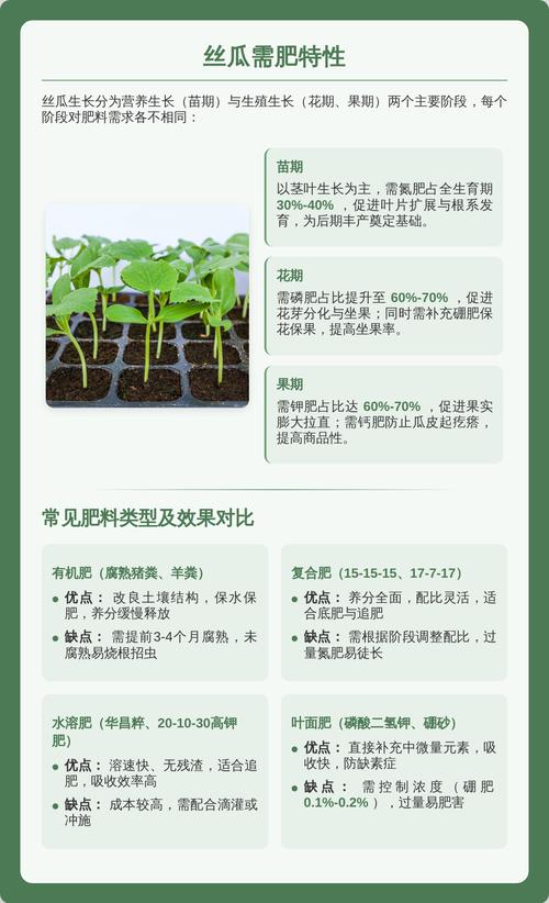 丝瓜肥最忌三种肥料及家庭全周期养护指南 丝瓜肥最忌三种肥料及家庭全周期养护指南