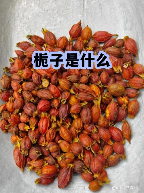 栀子花的功效与作用:不仅是观赏,果实还能入药?(附食用安全指南) 🚫 注意事项