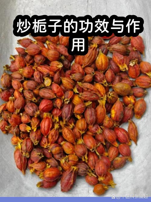 栀子花的功效与作用:不仅是观赏,果实还能入药?(附食用安全指南) 💊 药用常识