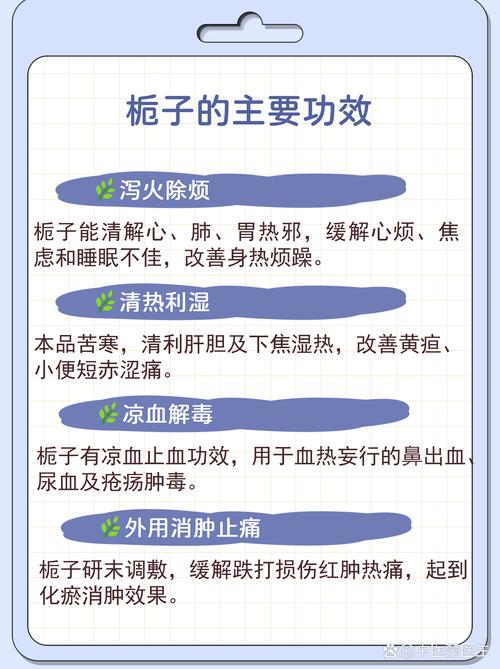 栀子花的功效与作用:不仅是观赏,果实还能入药?(附食用安全指南) 📝 参考资料