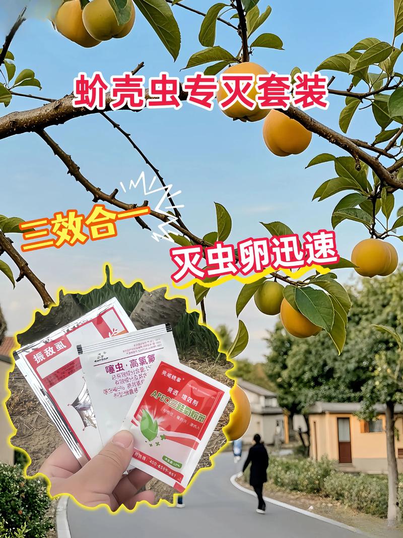 树上出现介壳虫怎么办?教你一套完整防治方案 第四步:生物防治(绿色安全法)