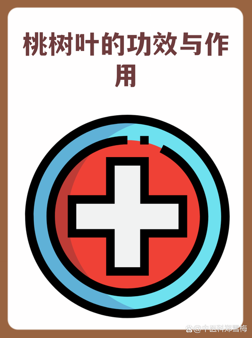 传统药用常识：杀虫清热解毒