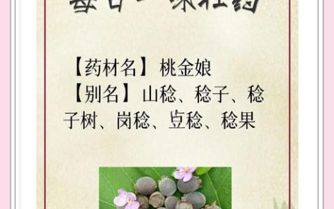 桃树叶有什么功效与作用？安全食用指南