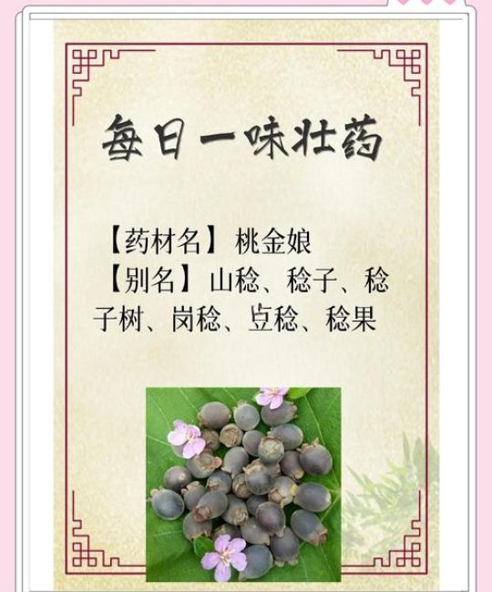 桃树叶有什么功效与作用？安全食用指南