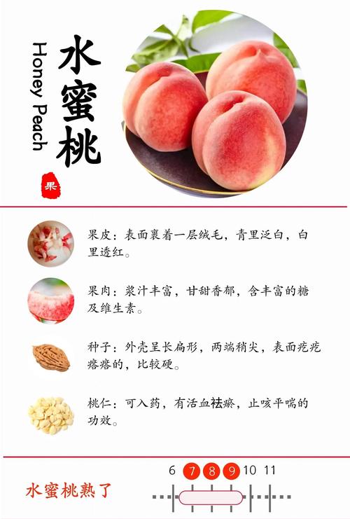 安全食用方法：必须煮沸破坏毒性