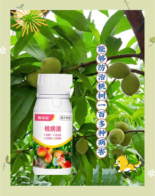 禁忌人群与注意事项