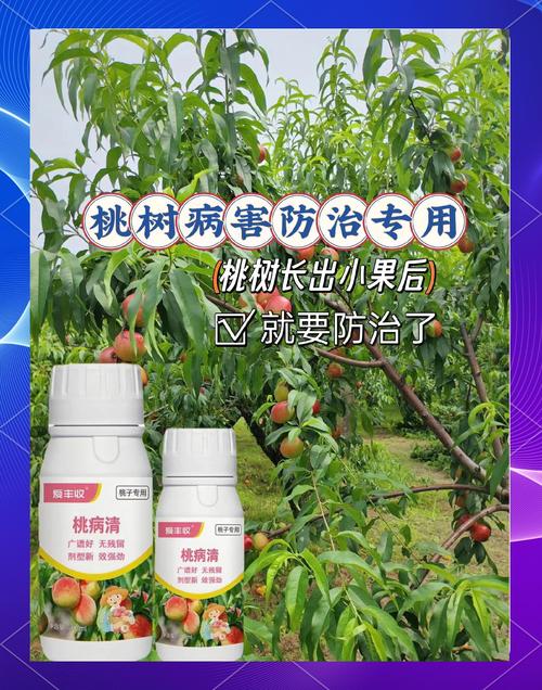 参考资料与免责声明