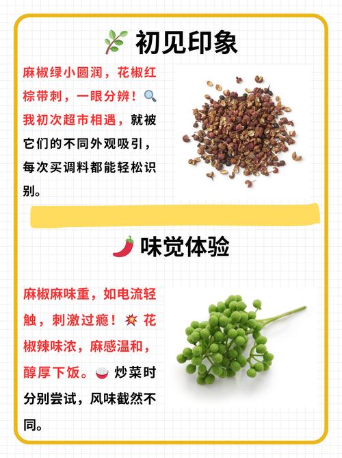 武都花椒和汉源花椒全方位对比:哪个更麻更香? 武都花椒 vs 汉源花椒 6维度对比表