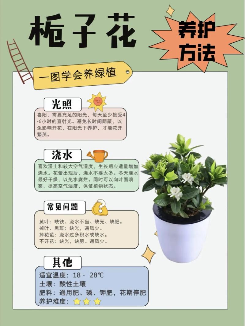 栀子花摘下来后怎么养？瓶插保鲜的六个养护要点