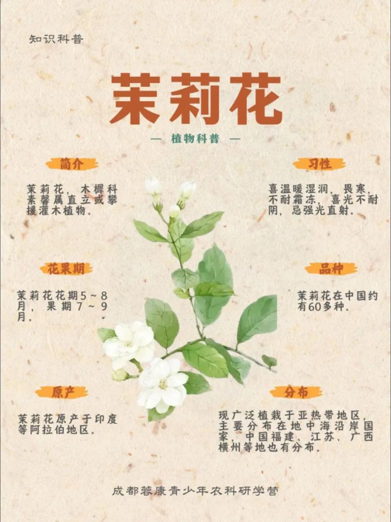 黄土可以种茉莉花吗?先说结论 四、栽植深度