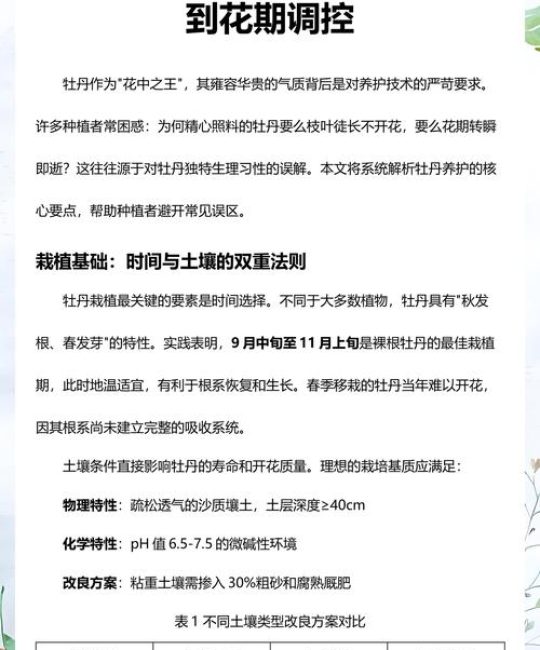 昌吉牡丹花观赏全攻略：最佳地点、花期与养护指南