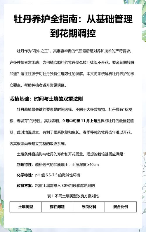 昌吉看牡丹花，首选这里