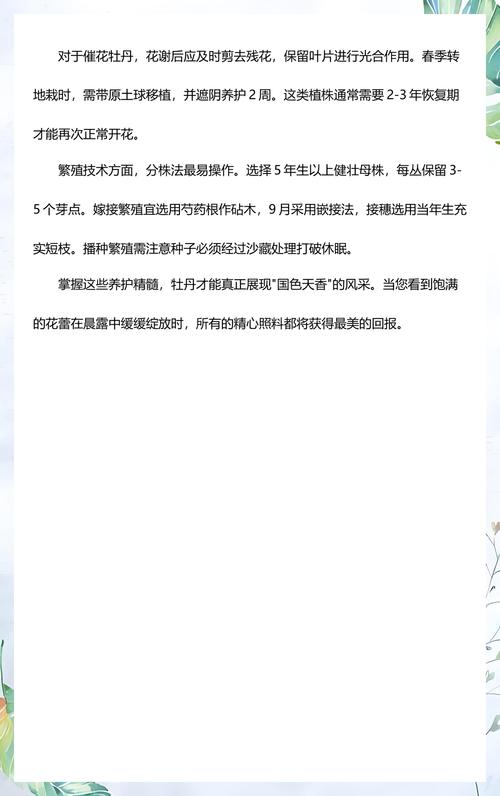 品种基础档案：牡丹花核心参数一览