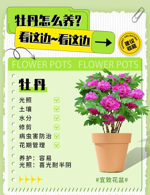修剪促花系统指导：分季节、分类型