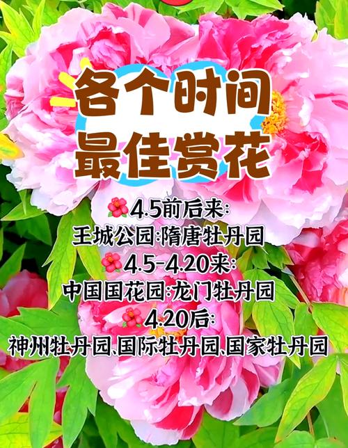 常见误区与纠正