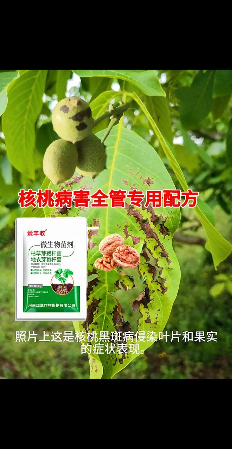 处理办法