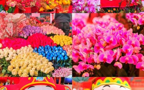 市花有哪些？盘点中国各大城市的市花与城市文化