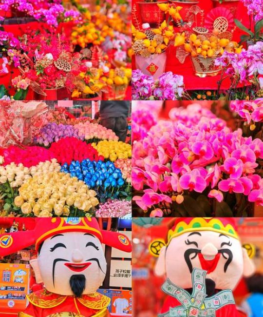 市花有哪些？盘点中国各大城市的市花与城市文化
