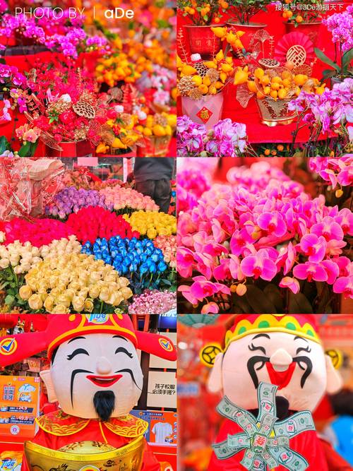 市花有哪些?盘点中国各大城市的市花与城市文化 一、什么是市花?