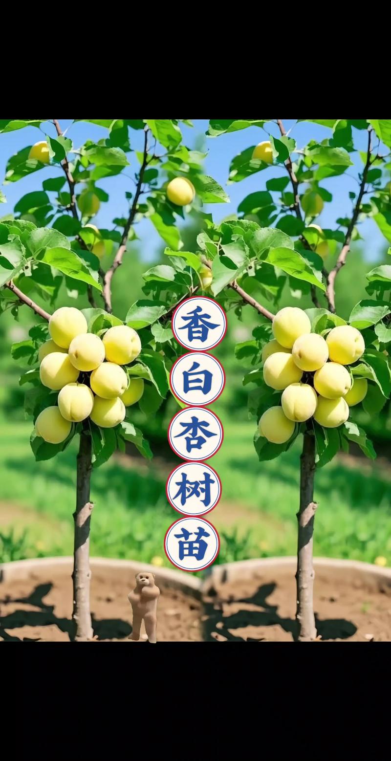 杏核种出杏树苗能结果吗?实生苗结果年限与促花促果全指南 杏核种出的苗能结果,但等待期长且品质不可控
