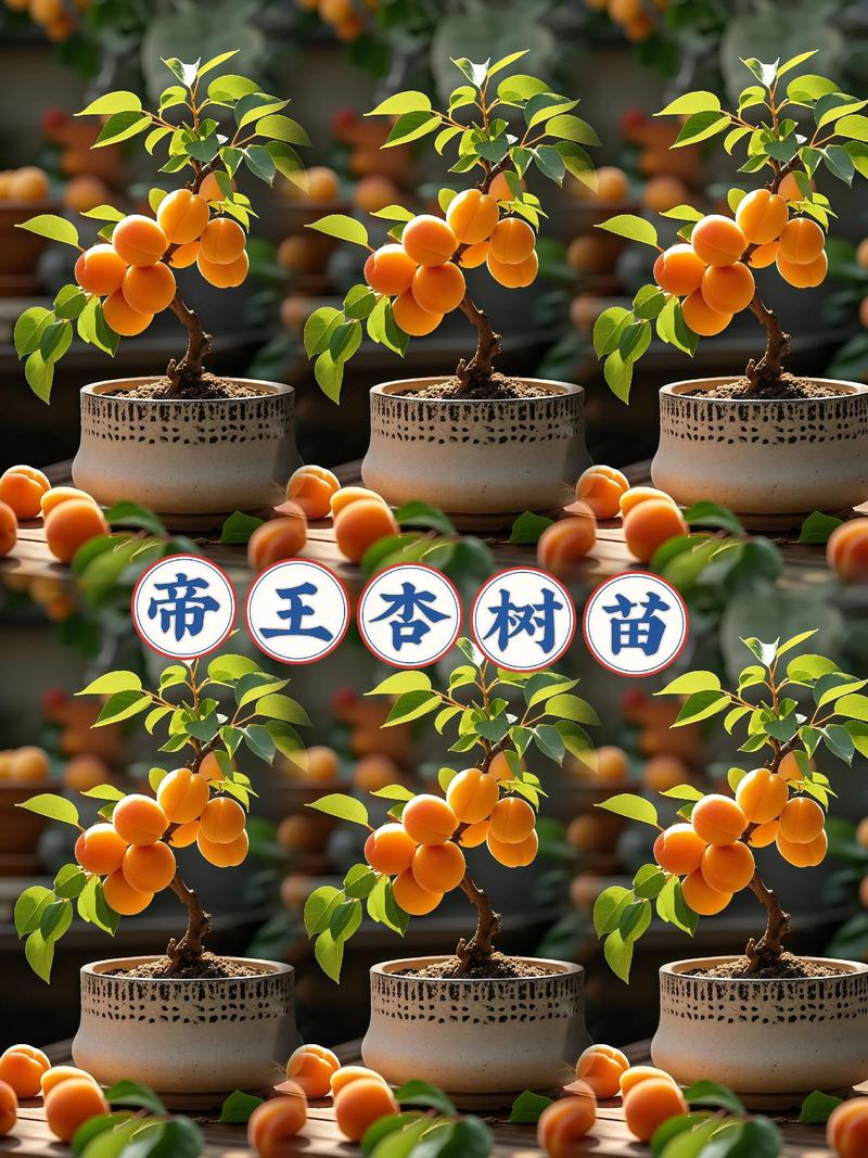 杏核种出杏树苗能结果吗?实生苗结果年限与促花促果全指南 实生苗与嫁接苗结果能力对比表
