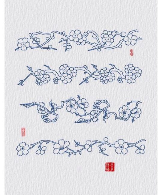 梅花形是什么形状？从植物学视角解读经典花冠形态
