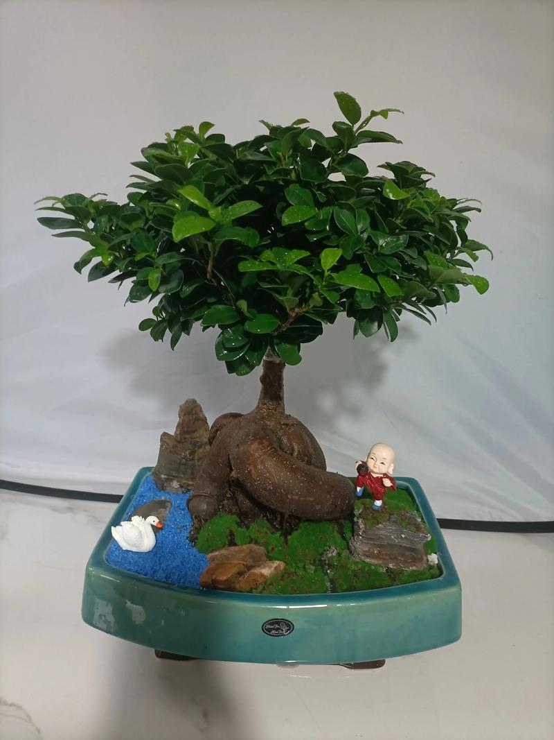 什么绿植用深盆栽?科学选择根系深长的观赏植物 总结:深盆栽种的通用原则