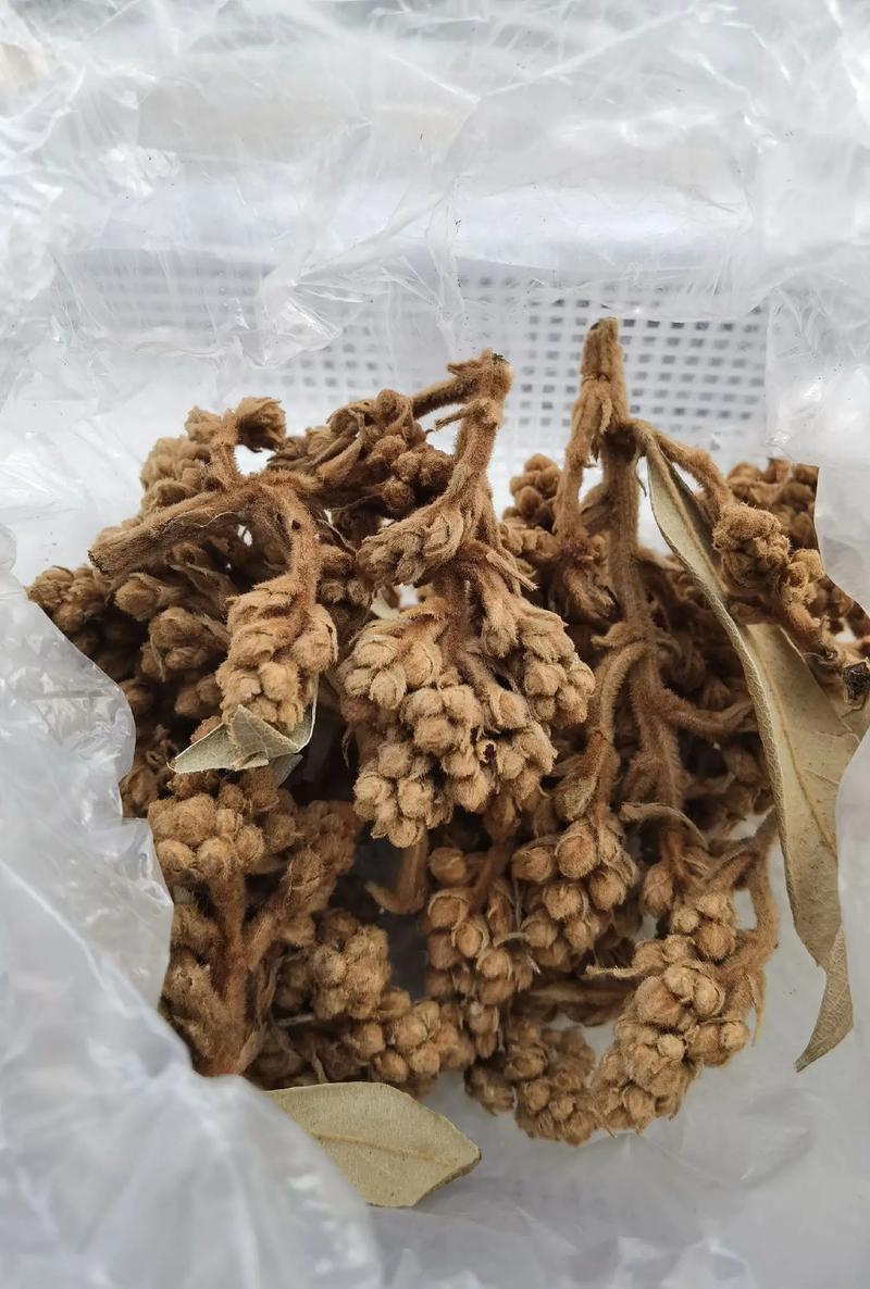 枇杷花晒干的正确方法与采收管理全攻略 枇杷花晒干的正确方法与采收管理全攻略