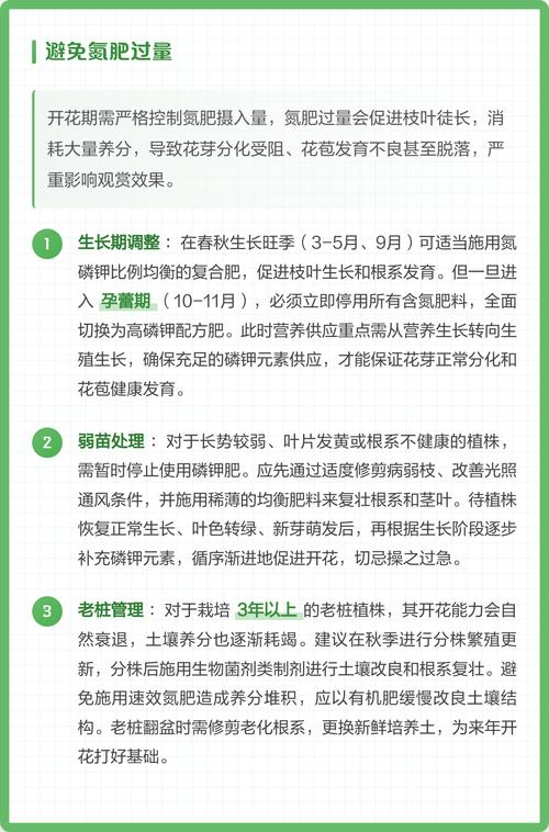 长寿花花期可以施肥吗?花期施肥的正确方法与注意事项 不开花不结果常见原因与解决