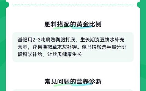 丝瓜施肥全攻略：家庭种植如何选肥与科学管理