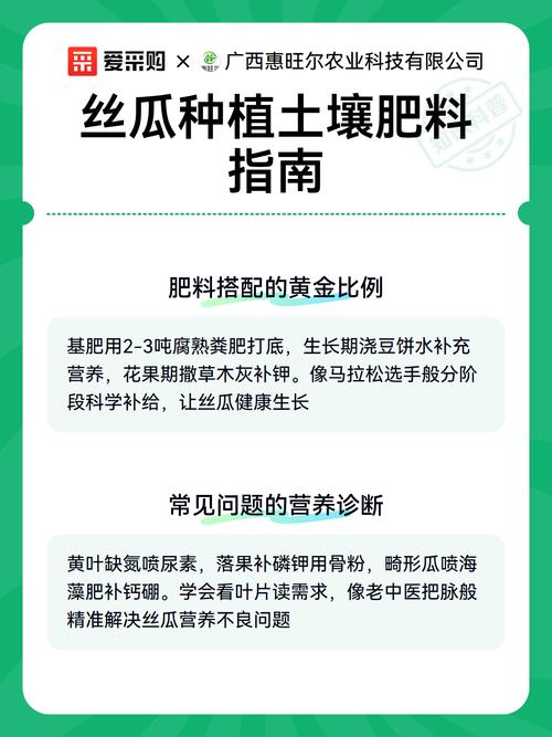 丝瓜施肥全攻略:家庭种植如何选肥与科学管理 丝瓜施肥全攻略:家庭种植如何选肥与科学管理