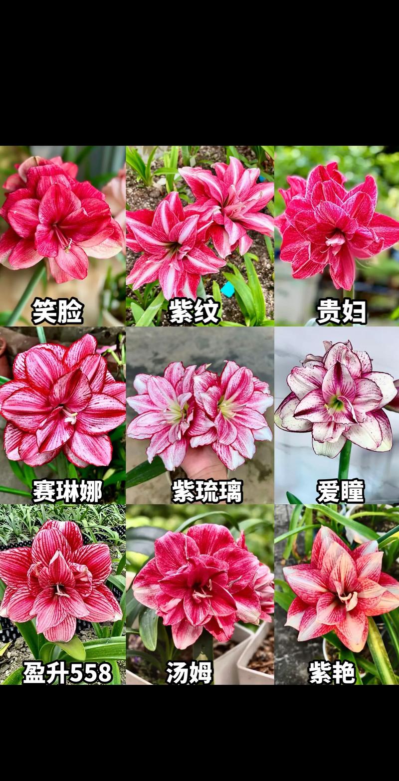 核心对比：六大维度量化分析
