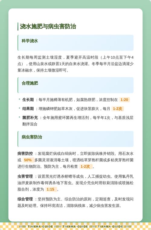 天麻种植全流程指南:从选时到成活的关键操作步骤 五、浇定根水