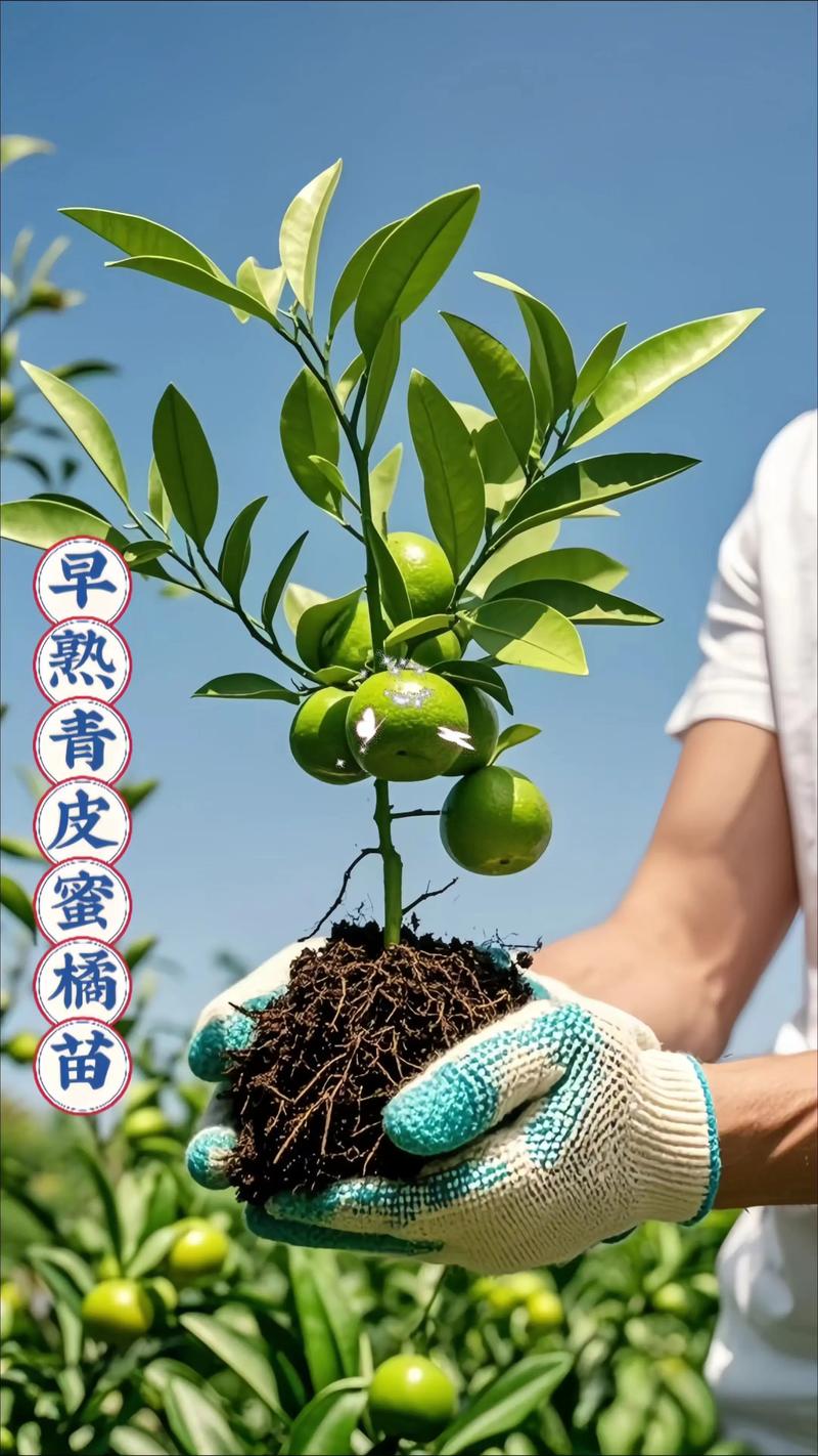 价格快速参考