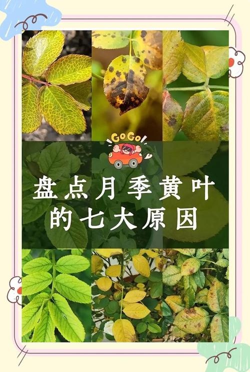 四、土壤酸碱度与板结问题