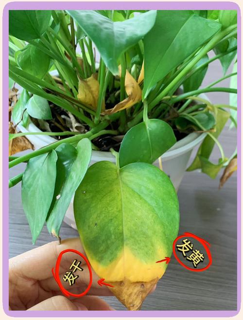 七、综合预防清单