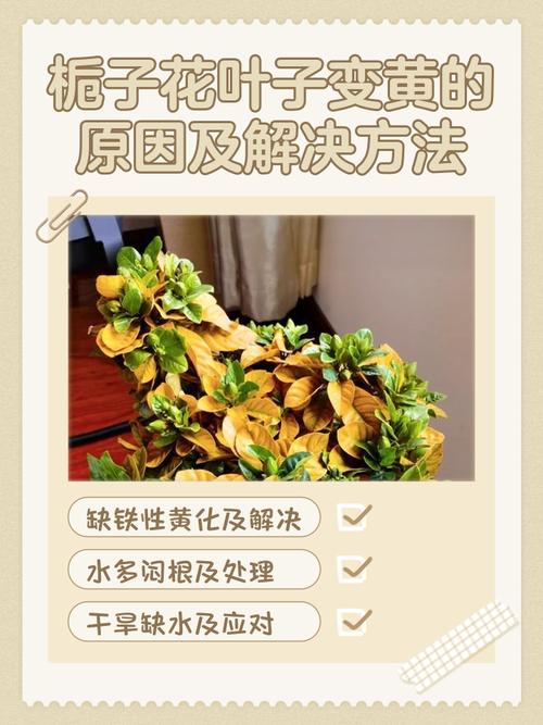 结语