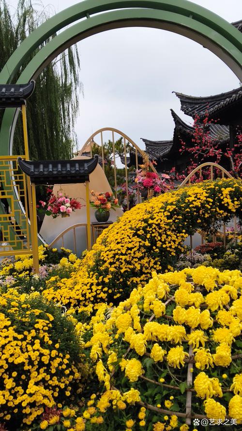 菊花是什么城市的市花?这些城市用它书写风骨 常见问题(FAQ)