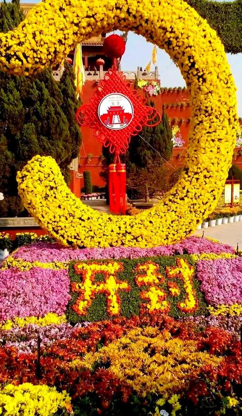 菊花是什么城市的市花?这些城市用它书写风骨 总结