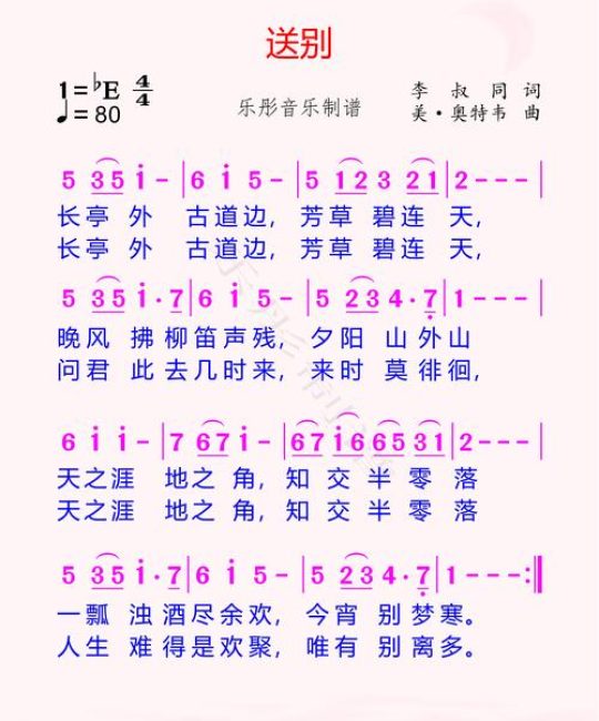 银杏树移栽与庭院应用全指南：树形、遮荫、规格、支撑修剪
