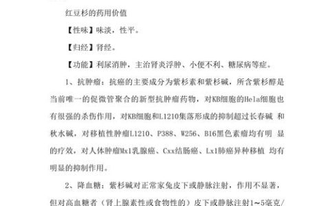 红豆杉的十大功效与作用：抗癌明星紫杉醇的来源及安全警示