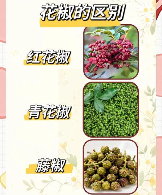 藤椒 vs 青花椒：哪个更好吃？从种植到餐桌的6维对比解析