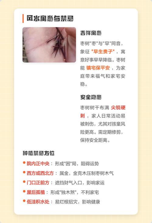 为什么门前不能种枣树?科学种植与风水禁忌全解析 二、土壤环境要求与门前改良难点