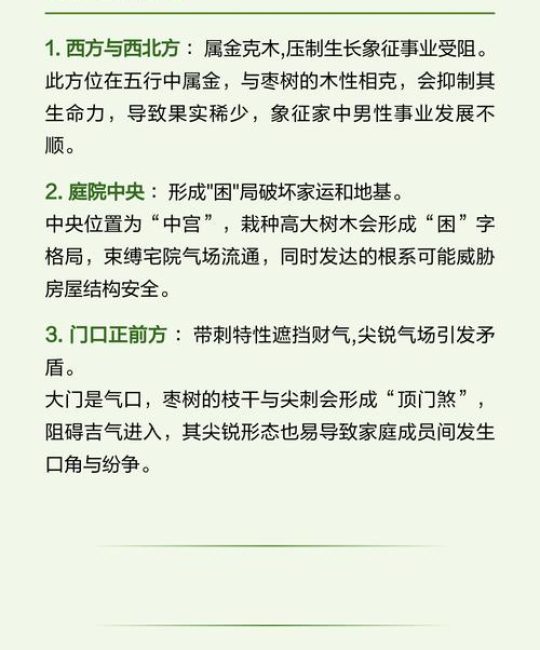 为什么门前不能种枣树？科学种植与风水禁忌全解析